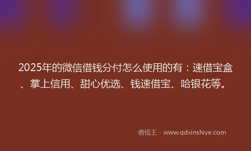 2025年的微信借钱分付怎么使用的有：速借宝盒、掌上信用、甜心优选、钱速借宝、哈银花等。