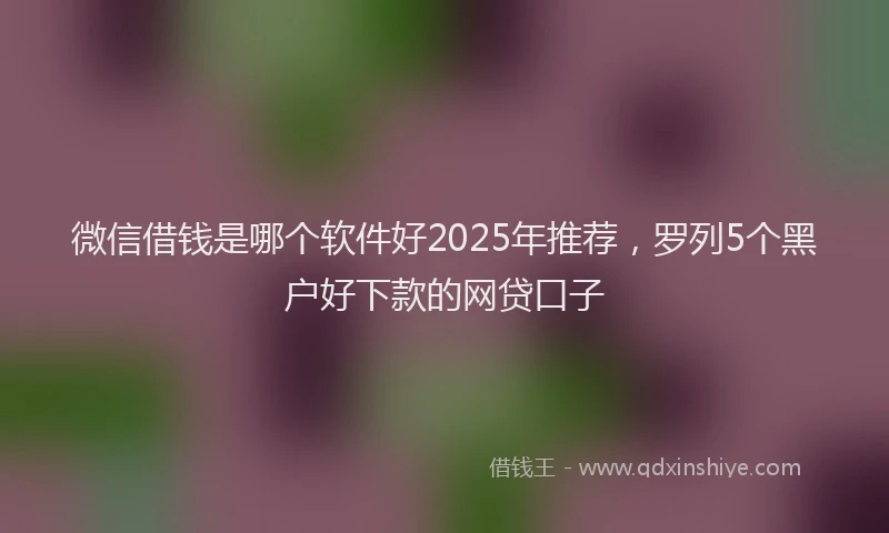 微信借钱是哪个软件好2025年推荐，罗列5个黑户好下款的网贷口子