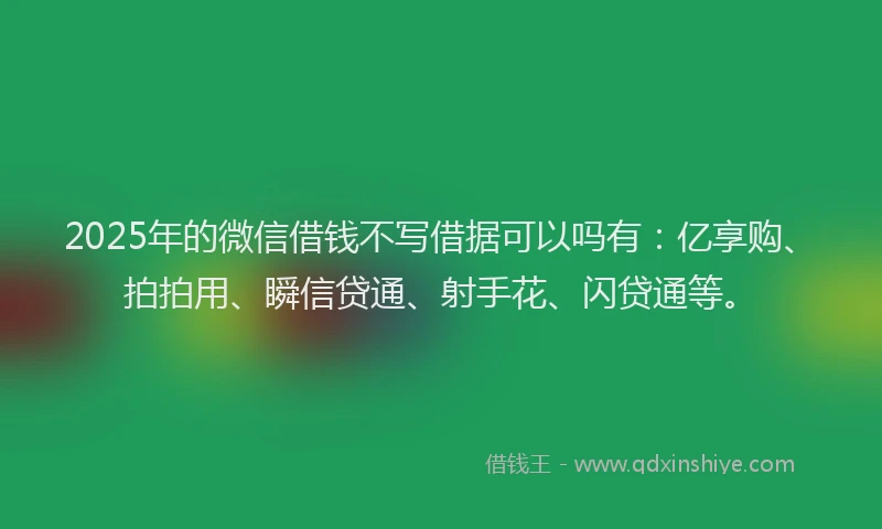 2025年的微信借钱不写借据可以吗有：亿享购、拍拍用、瞬信贷通、射手花、闪贷通等。