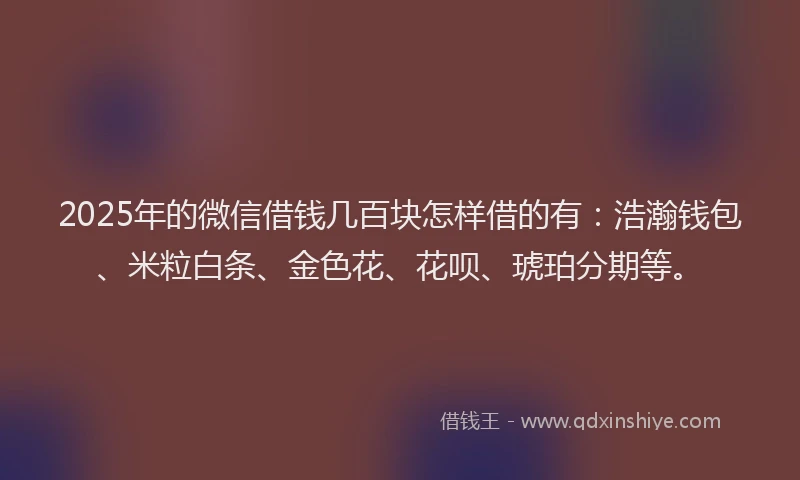2025年的微信借钱几百块怎样借的有：浩瀚钱包、米粒白条、金色花、花呗、琥珀分期等。