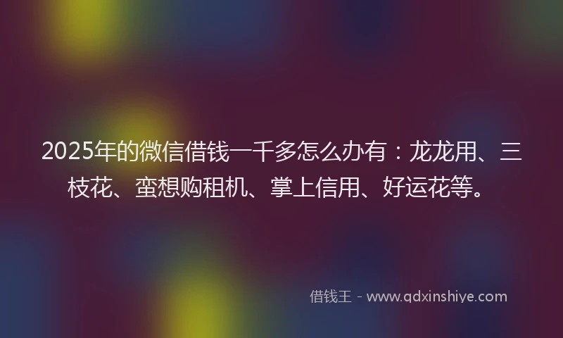 2025年的微信借钱一千多怎么办有：龙龙用、三枝花、蛮想购租机、掌上信用、好运花等。