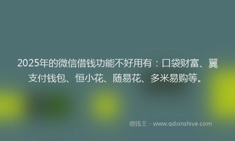 2025年的微信借钱功能不好用有：口袋财富、翼支付钱包、恒小花、随易花、多米易购等。