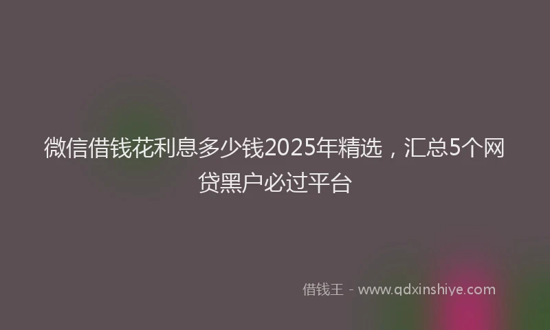 微信借钱花利息多少钱2025年精选，汇总5个网贷黑户必过平台