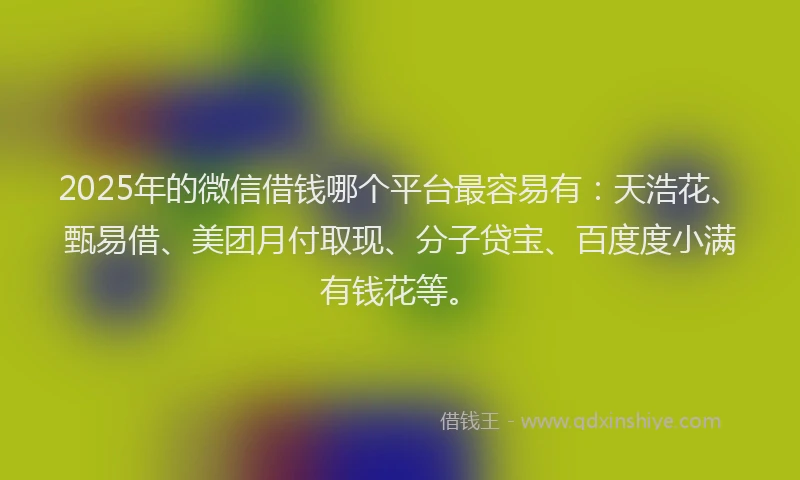 2025年的微信借钱哪个平台最容易有：天浩花、甄易借、美团月付取现、分子贷宝、百度度小满有钱花等。