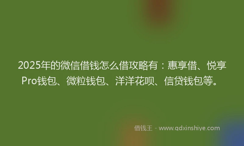 2025年的微信借钱怎么借攻略有：惠享借、悦享Pro钱包、微粒钱包、洋洋花呗、信贷钱包等。