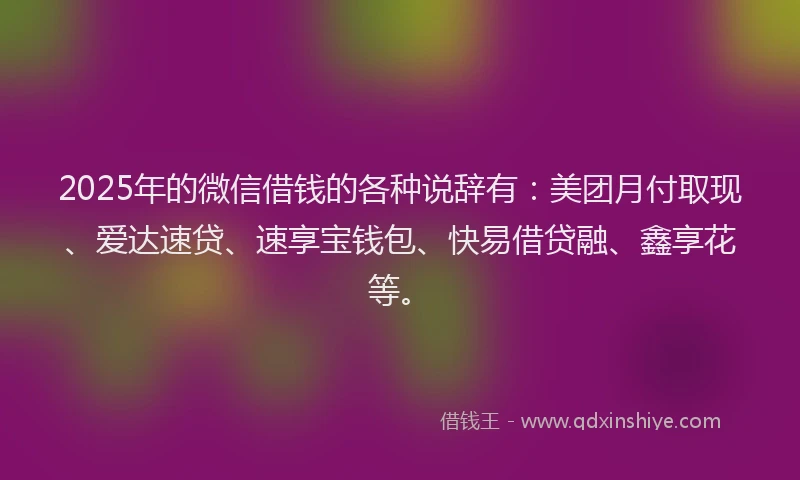 2025年的微信借钱的各种说辞有：美团月付取现、爱达速贷、速享宝钱包、快易借贷融、鑫享花等。
