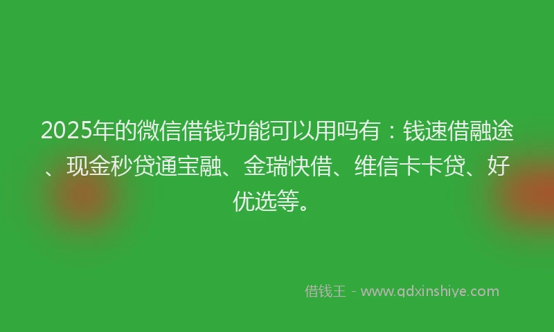 2025年的微信借钱功能可以用吗有：钱速借融途、现金秒贷通宝融、金瑞快借、维信卡卡贷、好优选等。