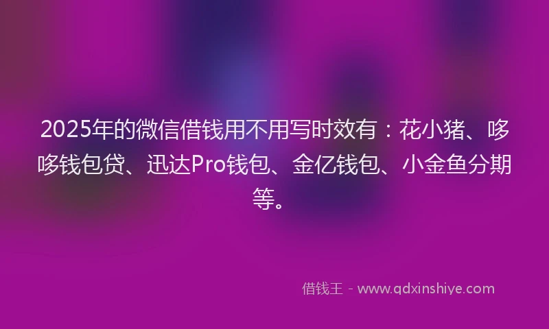 2025年的微信借钱用不用写时效有：花小猪、哆哆钱包贷、迅达Pro钱包、金亿钱包、小金鱼分期等。