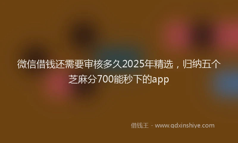 微信借钱还需要审核多久2025年精选，归纳五个芝麻分700能秒下的app