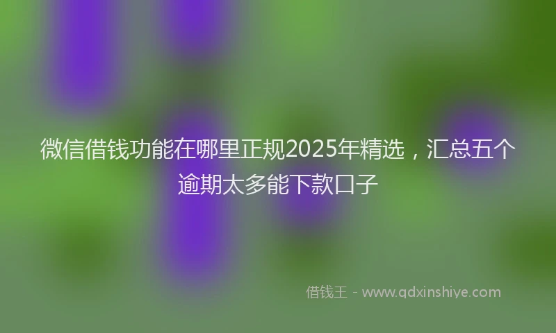 微信借钱功能在哪里正规2025年精选，汇总五个逾期太多能下款口子