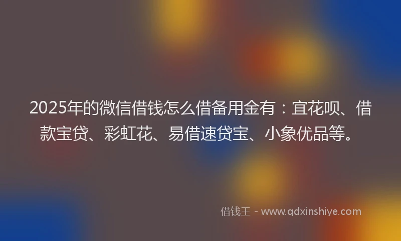 2025年的微信借钱怎么借备用金有：宜花呗、借款宝贷、彩虹花、易借速贷宝、小象优品等。