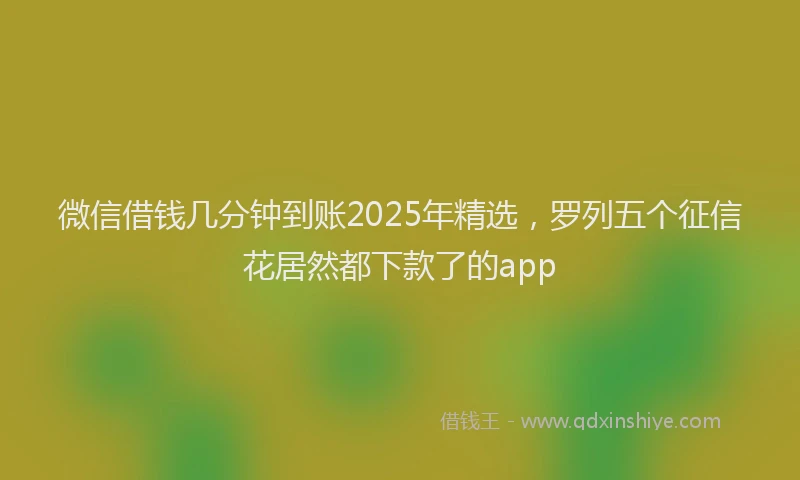 微信借钱几分钟到账2025年精选，罗列五个征信花居然都下款了的app