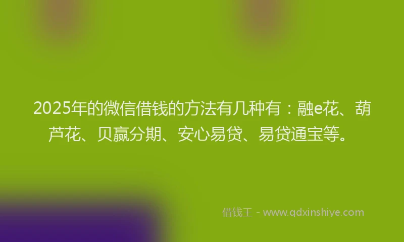 2025年的微信借钱的方法有几种有：融e花、葫芦花、贝赢分期、安心易贷、易贷通宝等。