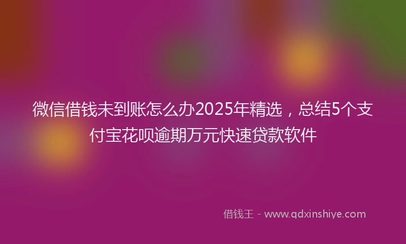 微信借钱未到账怎么办2025年精选，总结5个支付宝花呗逾期万元快速贷款软件