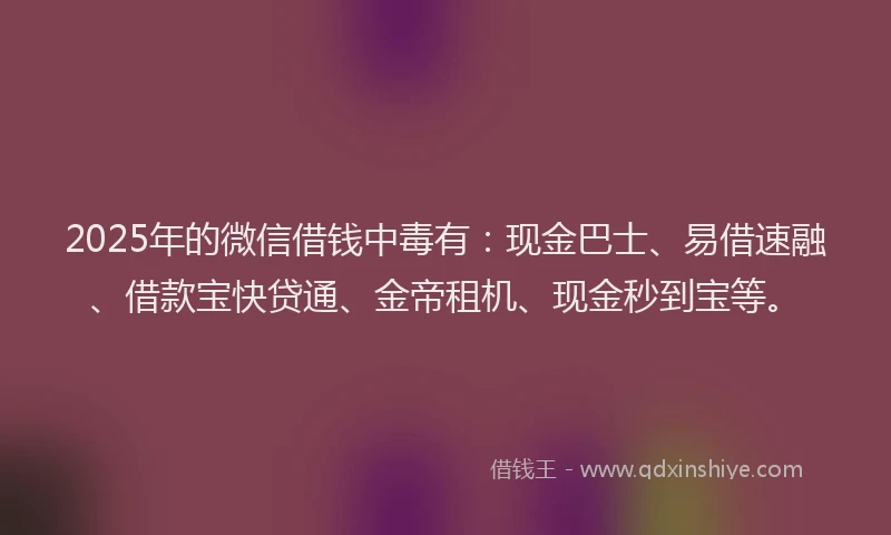 2025年的微信借钱中毒有：现金巴士、易借速融、借款宝快贷通、金帝租机、现金秒到宝等。