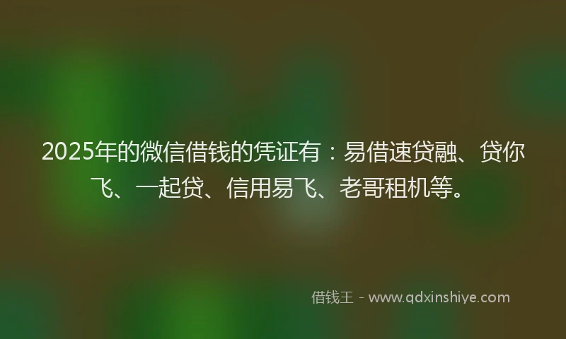 2025年的微信借钱的凭证有：易借速贷融、贷你飞、一起贷、信用易飞、老哥租机等。