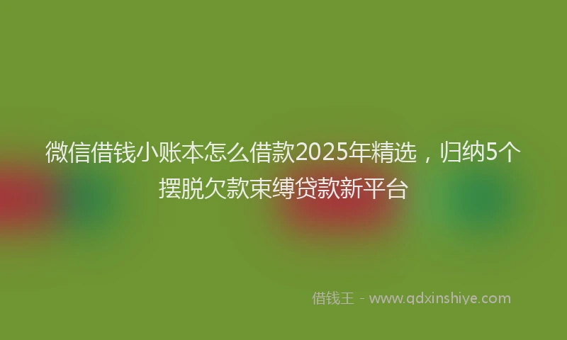 微信借钱小账本怎么借款2025年精选，归纳5个摆脱欠款束缚贷款新平台
