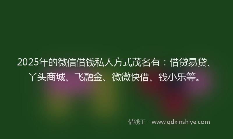 2025年的微信借钱私人方式茂名有：借贷易贷、丫头商城、飞融金、微微快借、钱小乐等。