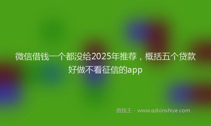 微信借钱一个都没给2025年推荐，概括五个贷款好做不看征信的app