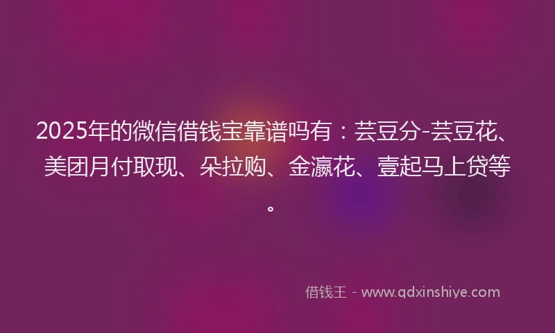 2025年的微信借钱宝靠谱吗有：芸豆分-芸豆花、美团月付取现、朵拉购、金瀛花、壹起马上贷等。
