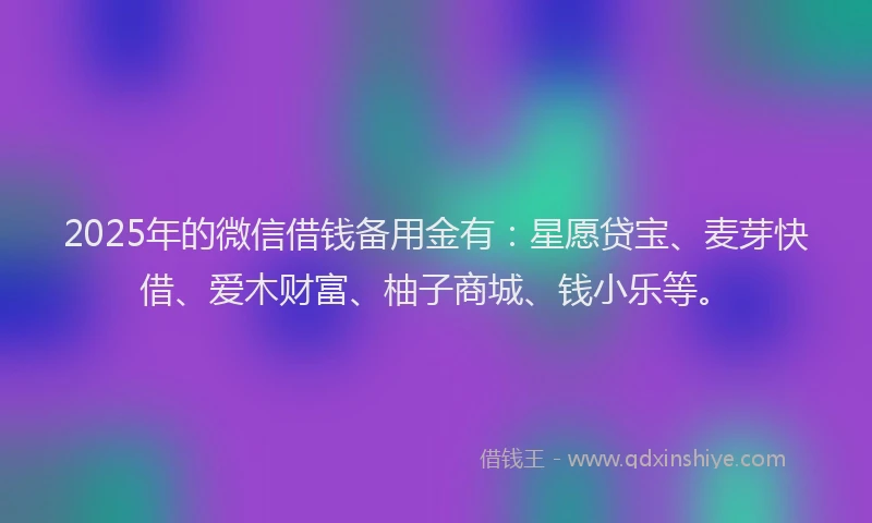 2025年的微信借钱备用金有：星愿贷宝、麦芽快借、爱木财富、柚子商城、钱小乐等。