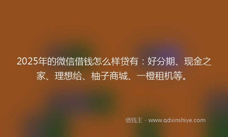 2025年的微信借钱怎么样贷有:好分期、现金之家、理想给、柚子商城、一橙租机等。
