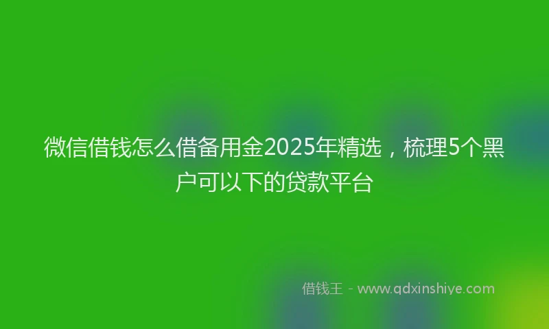 微信借钱怎么借备用金2025年精选，梳理5个黑户可以下的贷款平台