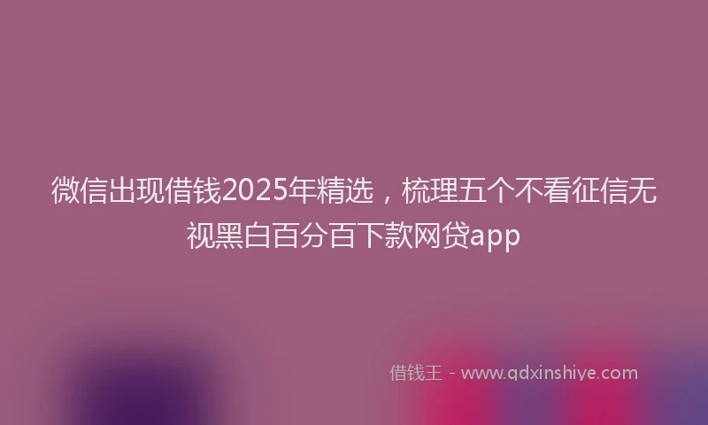 微信出现借钱2025年精选，梳理五个不看征信无视黑白百分百下款网贷app