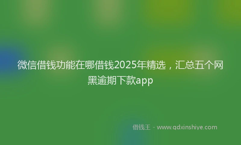 微信借钱功能在哪借钱2025年精选，汇总五个网黑逾期下款app