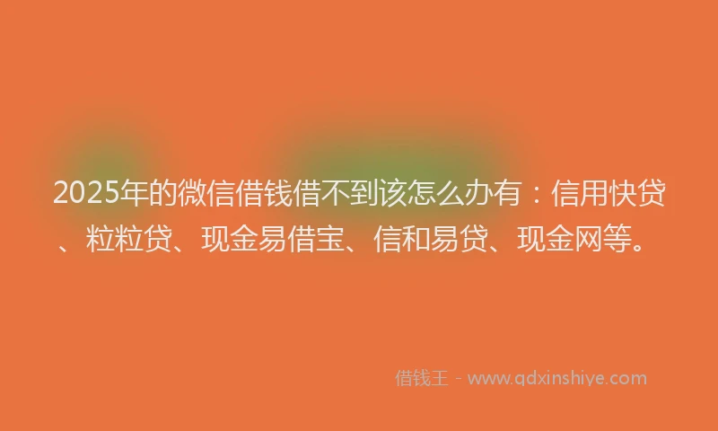 2025年的微信借钱借不到该怎么办有：信用快贷、粒粒贷、现金易借宝、信和易贷、现金网等。