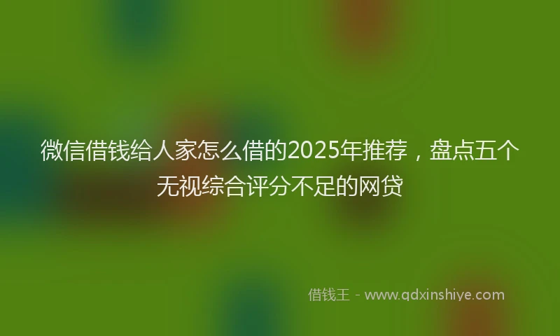 微信借钱给人家怎么借的2025年推荐，盘点五个无视综合评分不足的网贷