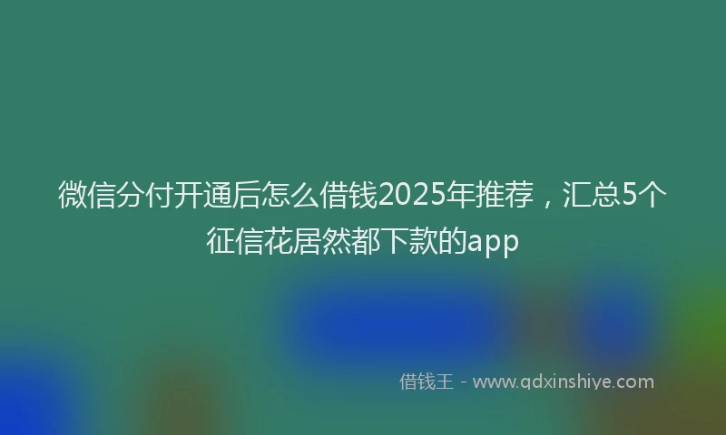 微信分付开通后怎么借钱2025年推荐，汇总5个征信花居然都下款的app