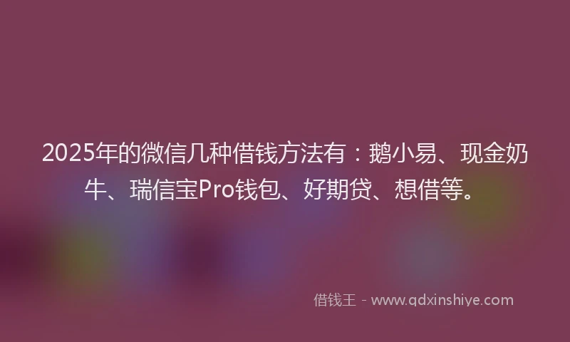 2025年的微信几种借钱方法有：鹅小易、现金奶牛、瑞信宝Pro钱包、好期贷、想借等。