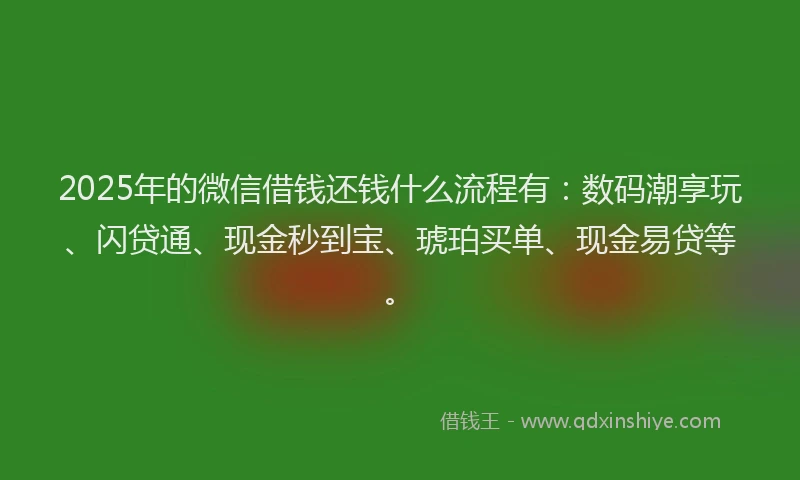 2025年的微信借钱还钱什么流程有：数码潮享玩、闪贷通、现金秒到宝、琥珀买单、现金易贷等。