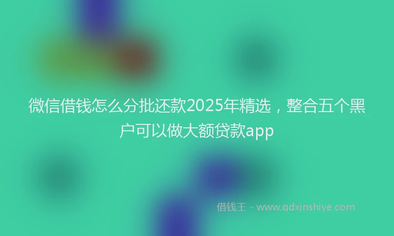 微信借钱怎么分批还款2025年精选，整合五个黑户可以做大额贷款app