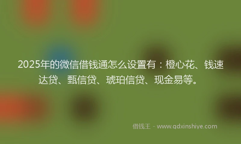 2025年的微信借钱通怎么设置有：橙心花、钱速达贷、甄信贷、琥珀信贷、现金易等。