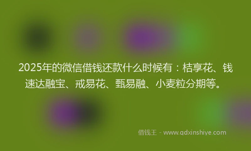 2025年的微信借钱还款什么时候有：桔享花、钱速达融宝、戒易花、甄易融、小麦粒分期等。