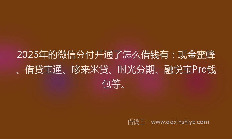2025年的微信分付开通了怎么借钱有：现金蜜蜂、借贷宝通、哆来米贷、时光分期、融悦宝Pro钱包等。