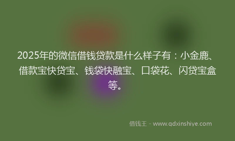 2025年的微信借钱贷款是什么样子有：小金鹿、借款宝快贷宝、钱袋快融宝、口袋花、闪贷宝盒等。