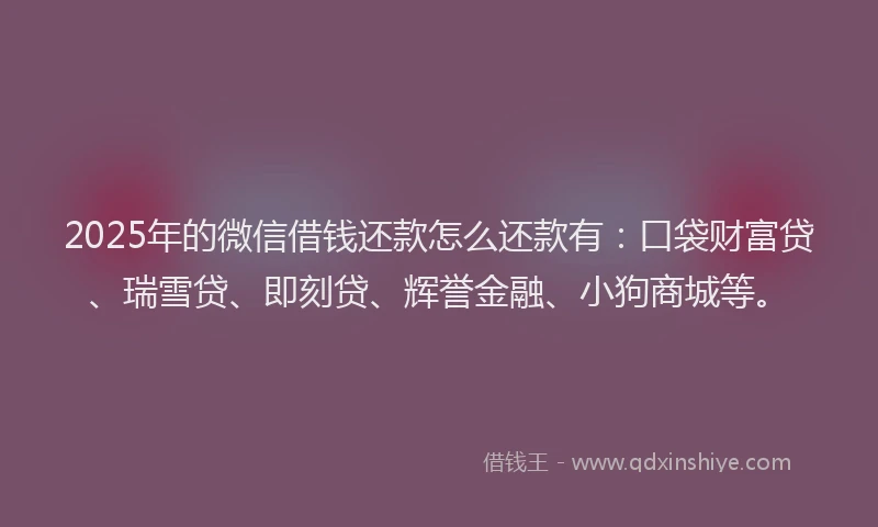 2025年的微信借钱还款怎么还款有：口袋财富贷、瑞雪贷、即刻贷、辉誉金融、小狗商城等。