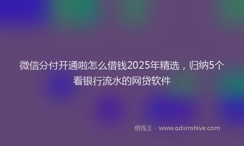 微信分付开通啦怎么借钱2025年精选，归纳5个看银行流水的网贷软件