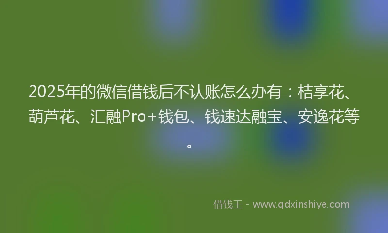 2025年的微信借钱后不认账怎么办有：桔享花、葫芦花、汇融Pro+钱包、钱速达融宝、安逸花等。