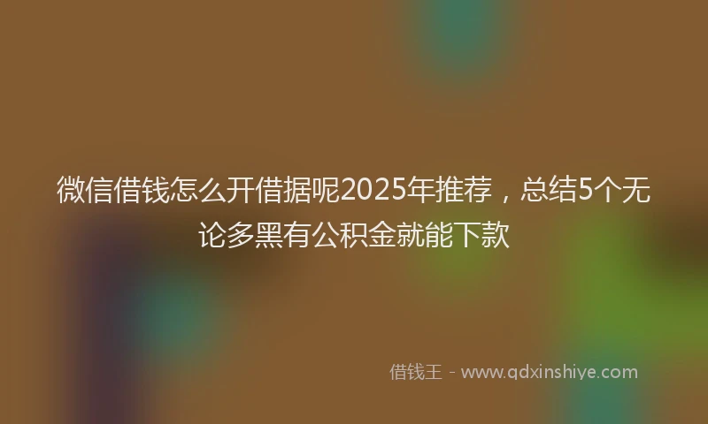 微信借钱怎么开借据呢2025年推荐，总结5个无论多黑有公积金就能下款