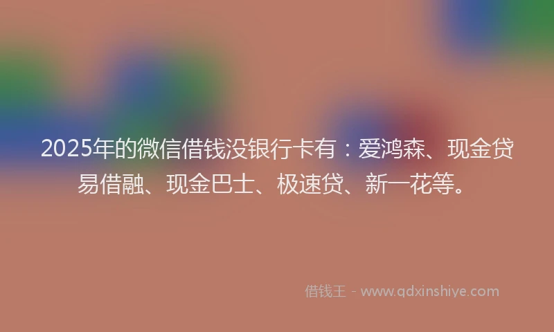 2025年的微信借钱没银行卡有：爱鸿森、现金贷易借融、现金巴士、极速贷、新一花等。