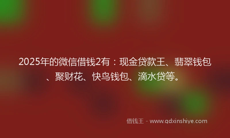 2025年的微信借钱2有：现金贷款王、翡翠钱包、聚财花、快鸟钱包、滴水贷等。