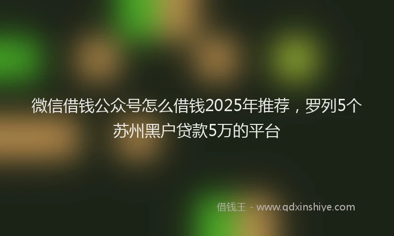 微信借钱公众号怎么借钱2025年推荐，罗列5个苏州黑户贷款5万的平台
