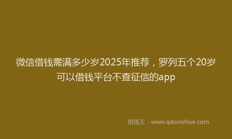 微信借钱需满多少岁2025年推荐，罗列五个20岁可以借钱平台不查征信的app