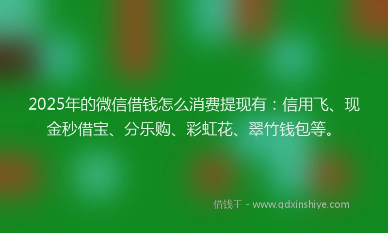 2025年的微信借钱怎么消费提现有：信用飞、现金秒借宝、分乐购、彩虹花、翠竹钱包等。