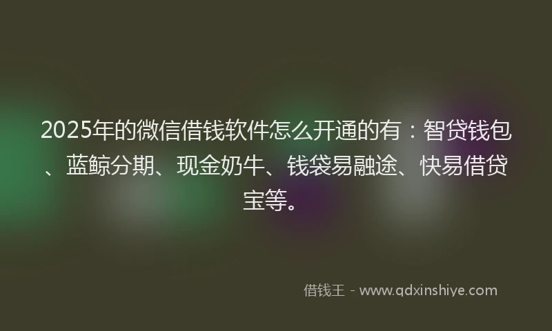 2025年的微信借钱软件怎么开通的有：智贷钱包、蓝鲸分期、现金奶牛、钱袋易融途、快易借贷宝等。