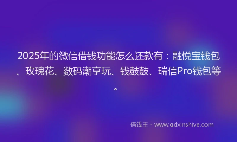 2025年的微信借钱功能怎么还款有：融悦宝钱包、玫瑰花、数码潮享玩、钱鼓鼓、瑞信Pro钱包等。